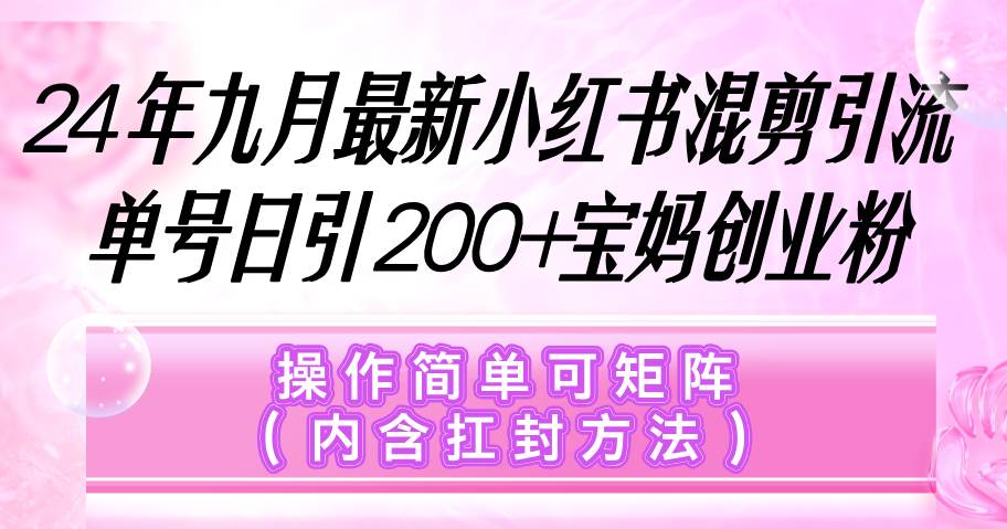 （12530期）小红书混剪引流，单号日引200+宝妈创业粉，操作简单可矩阵（内含扛封…-赛德副业库