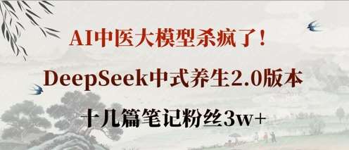 AI中医大模型杀疯了!DeepSeek中式养生2.0版本,十几篇笔记粉丝3w+-赛德副业库