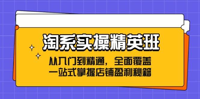 （12276期）淘系实操精英班：从入门到精通，全面覆盖，一站式掌握店铺盈利秘籍-赛德副业库
