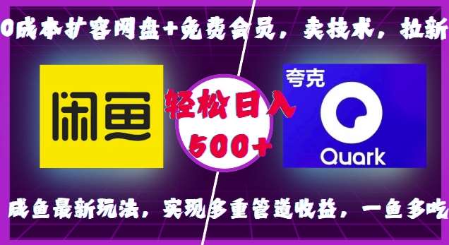 0成本扩容网盘+免费会员，卖技术，拉新，咸鱼最新玩法，实现多重管道收益，一鱼多吃，轻松日入500+-赛德副业库