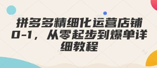 拼多多精细化运营店铺0-1，从零起步到爆单详细教程-赛德副业库