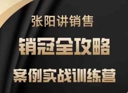 张阳讲销售实战训练营，​案例实战训练，销冠全攻略-赛德副业库