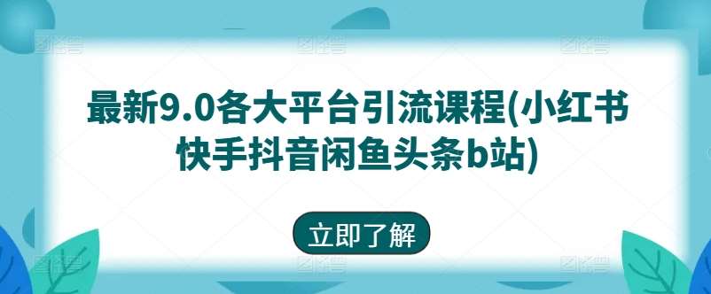 最新9.0各大平台引流课程(小红书快手抖音闲鱼头条b站)-赛德副业库