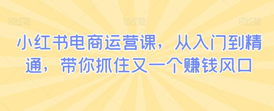 小红书电商运营课，从入门到精通，带你抓住又一个赚钱风口-赛德副业库