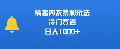 情趣内衣暴利玩法，冷门赛道，日入1k+-赛德副业库