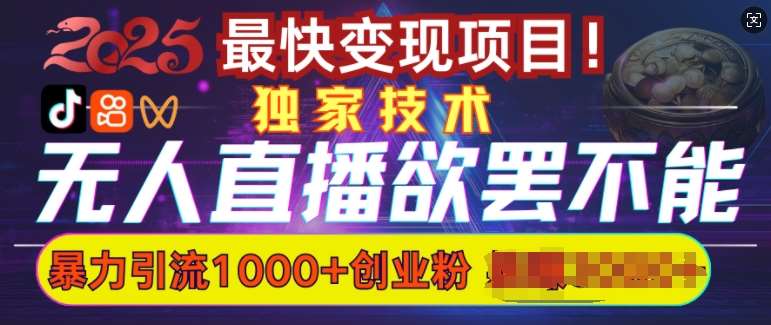 欲罢不能的无人直播引流，超暴力日引流1000+高质量精准创业粉-赛德副业库