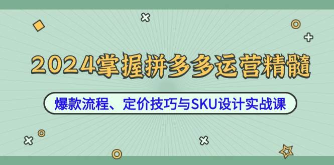（12703期）2024掌握拼多多运营精髓：爆款流程、定价技巧与SKU设计实战课-赛德副业库