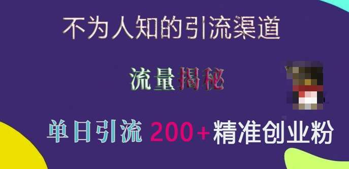 不为人知的引流渠道，流量揭秘，实测单日引流200+精准创业粉【揭秘】-赛德副业库