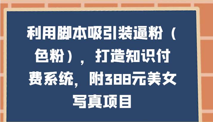 利用脚本吸引装逼粉（色粉），打造知识付费系统，附388元美女写真项目-赛德副业库