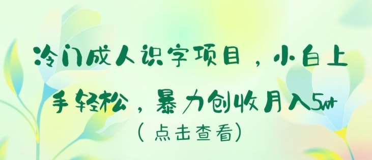 冷门成人识字项目，小白上手轻松，暴力创收月入5w+【揭秘】-赛德副业库