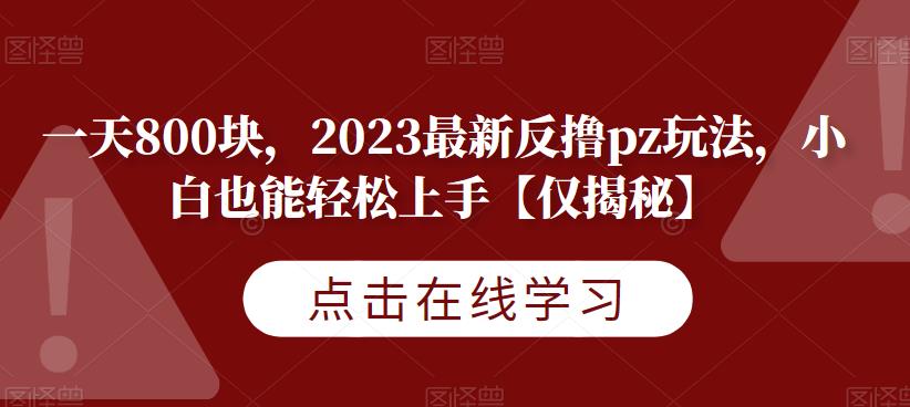 一天800块,2023最新反撸pz玩法,小白也能轻松上手【仅揭秘】-赛德副业库