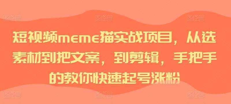 短视频meme猫实战项目，从选素材到把文案，到剪辑，手把手的教你快速起号涨粉-赛德副业库