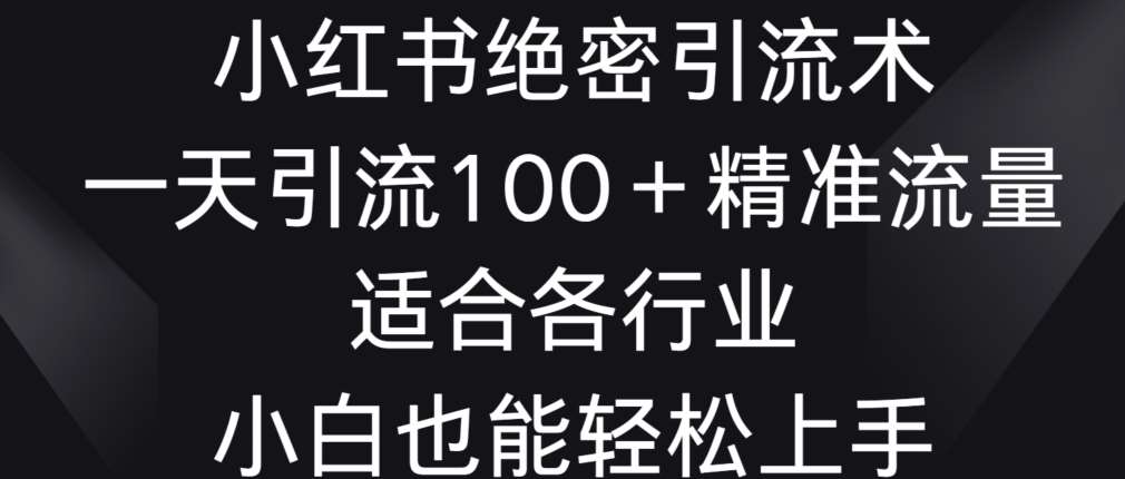 小红书绝密引流术，一天引流100+精准流量，适合各个行业，小白也能轻松上手【揭秘】-赛德副业库