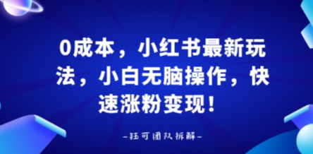 0成本，小红书最新玩法，小白无脑操作，快速涨粉变现-赛德副业库