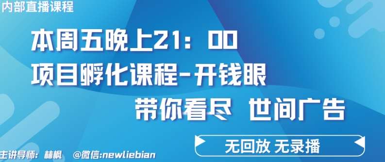 4.26日内部回放课程《项目孵化-开钱眼》赚钱的底层逻辑【揭秘】-赛德副业库