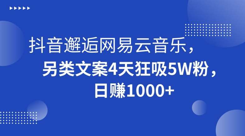 抖音邂逅网易云音乐，另类文案4天狂吸5W粉，日赚1000+【揭秘】-赛德副业库