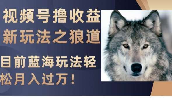 视频号撸收益新玩法之狼道，目前蓝海玩法，轻松月入过万【揭秘】-赛德副业库