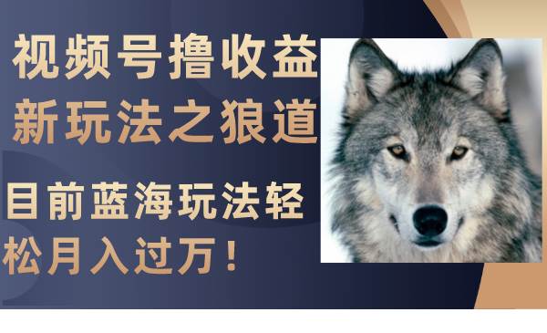 （8042期）视频号撸收益新玩法之狼道，目前蓝海玩法轻松月入过万！-赛德副业库