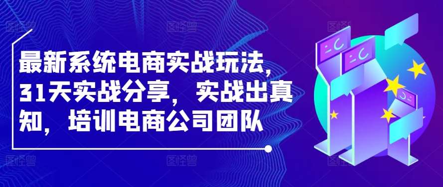 最新系统电商实战玩法，31天实战分享，实战出真知，培训电商公司团队-赛德副业库