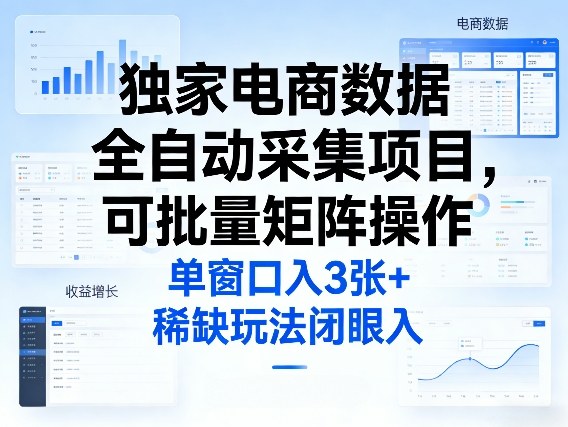 独家电商数据全自动采集项目,可批量矩阵操作,单窗口日入3张+,稀缺玩法闭眼入【揭秘】-赛德副业库