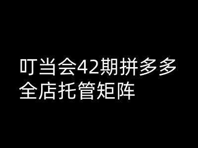 叮当会拼多多打爆班原创高阶技术第42期,拼多多全店托管矩阵-赛德副业库