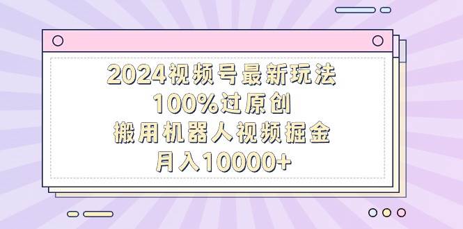 (9151期)2024视频号最新玩法,100%过原创,搬用机器人视频掘金,月入10000+-赛德副业库
