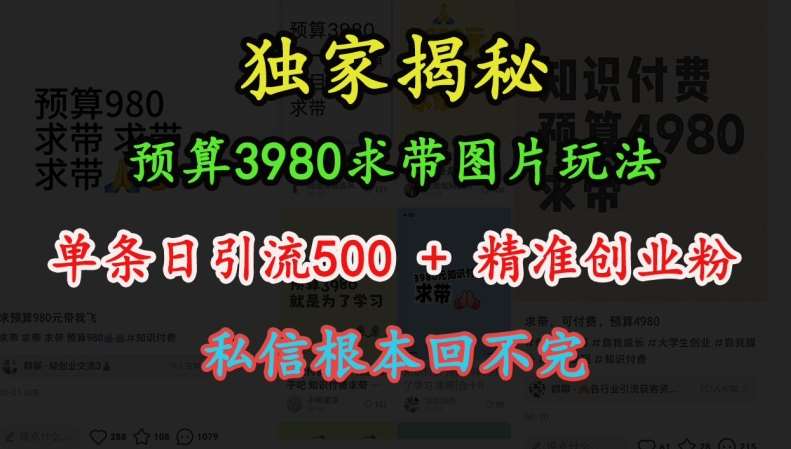 预算3980求带 图片玩法，单条日引流500+精准创业粉，私信根本回不完-赛德副业库
