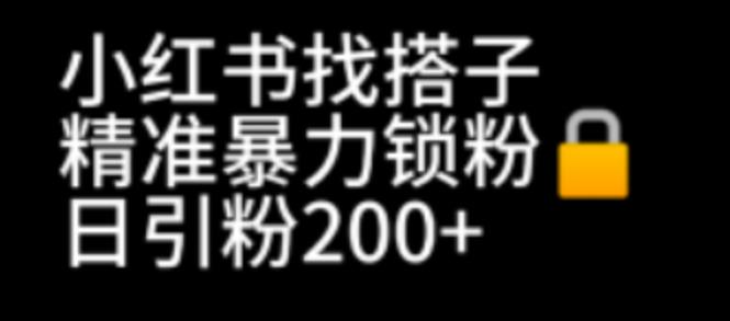 小红书找搭子暴力精准锁粉+引流日引200+精准粉-赛德副业库