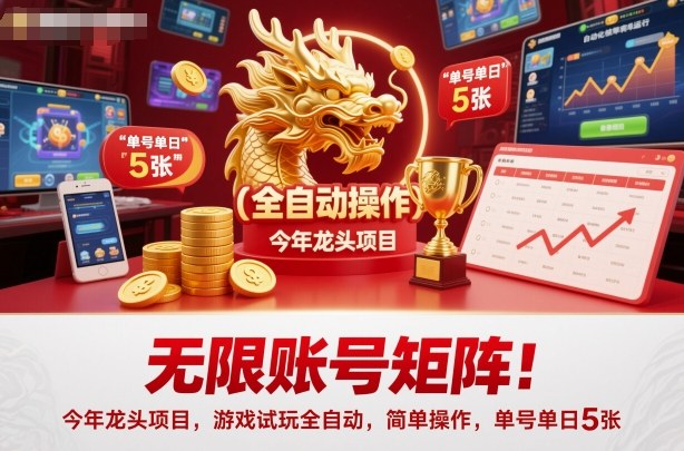 无限账号矩阵！今年龙头项目，游戏试玩全自动，简单操作，单号单日5张【揭秘】-赛德副业库