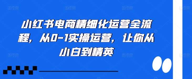 小红书电商精细化运营全流程,从0-1实操运营,让你从小白到精英-赛德副业库