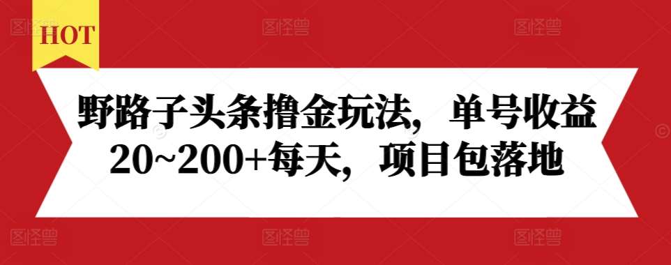 野路子头条撸金玩法，单号收益20~200+每天，项目包落地-赛德副业库