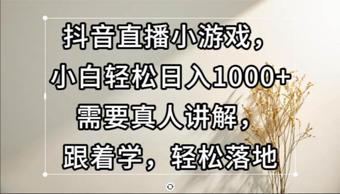 （13075期）抖音直播小游戏，小白轻松日入1000+需要真人讲解，跟着学，轻松落地-赛德副业库