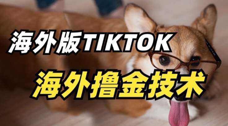 抖音海外版tiktok撸金技术，这个风口行业，赚钱真的不难【揭秘】-赛德副业库