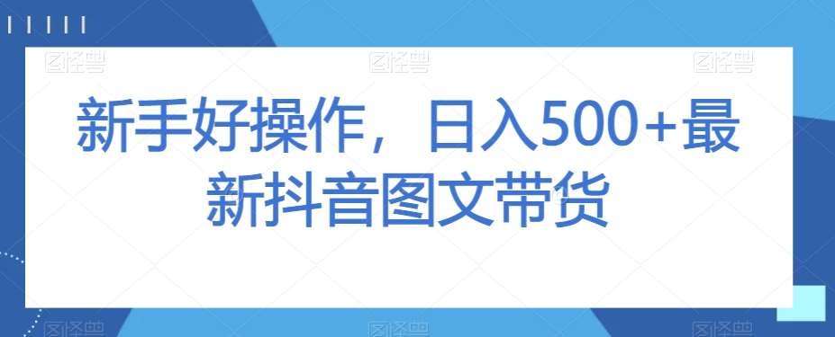 新手好操作，日入500+最新抖音图文带货【揭秘】-赛德副业库