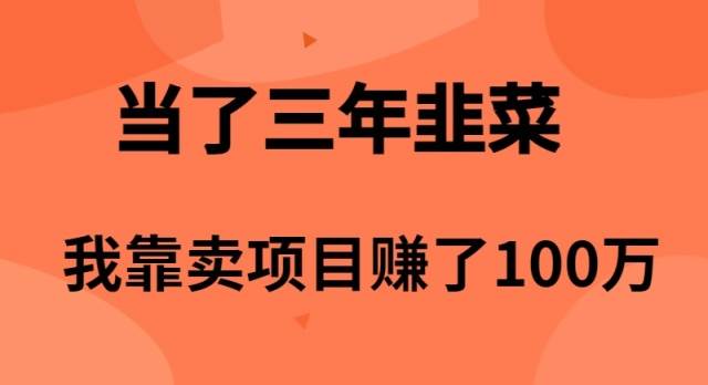 （10149期）当了3年韭菜，我靠卖项目赚了100万-赛德副业库