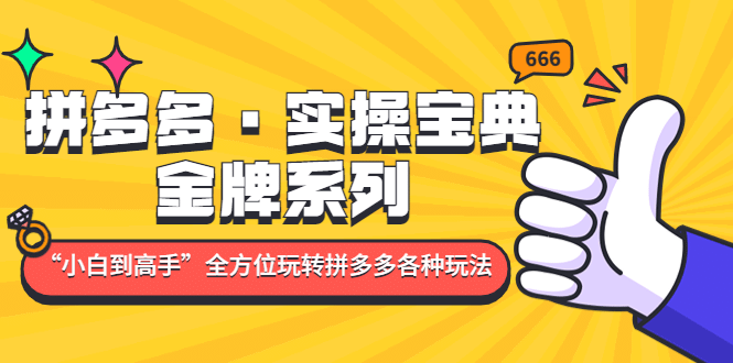 拼多多·实操宝典:金牌系列“小白到高手”带你全方位玩转拼多多各种玩法-赛德副业库