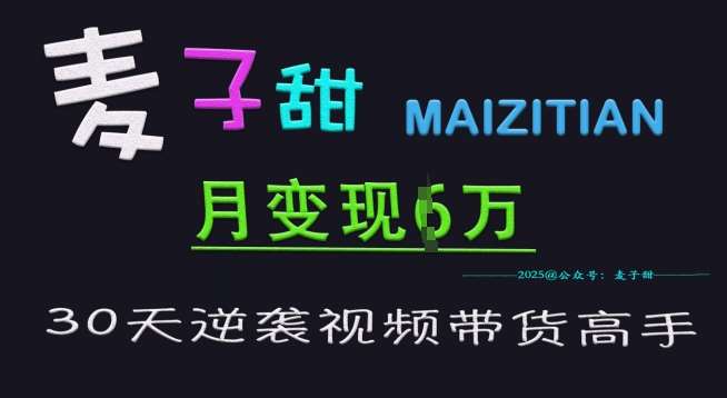 麦子甜30天逆袭视频带货高手，单月变现6W加特训营-赛德副业库