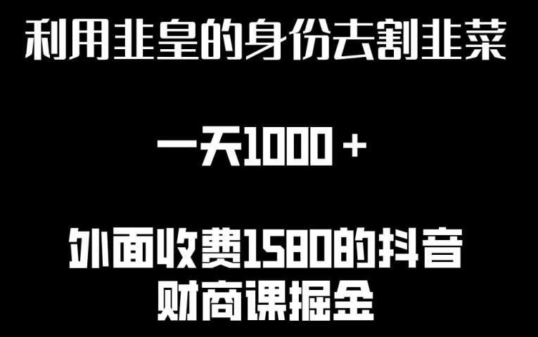 利用非皇的身份去割韭菜，一天1000+(附详细资源)【揭秘】-赛德副业库