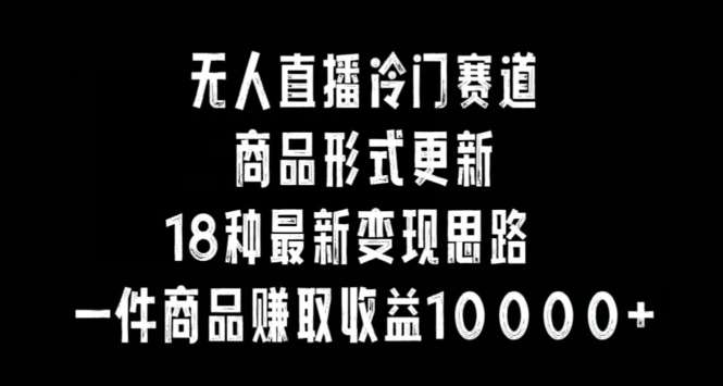 无人直播冷门赛道，商品形式更新，18种变现思路，一件商品赚取收益10000+【揭秘】-赛德副业库