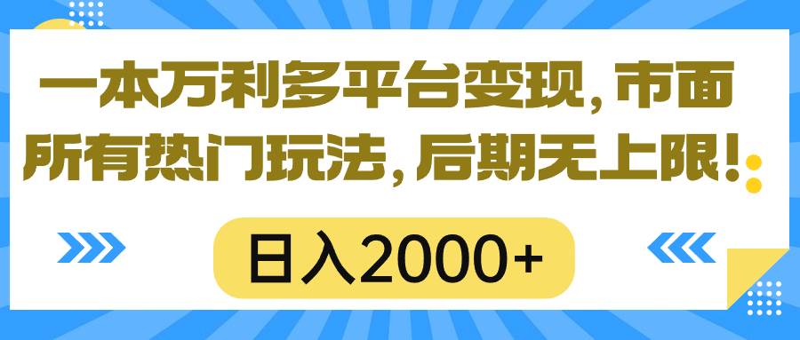 (10311期)一本万利多平台变现,市面所有热门玩法,日入2000+,后期无上限!-赛德副业库