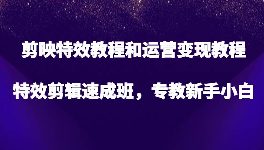 剪映特效教程和运营变现教程，特效剪辑速成班，专教新手小白-赛德副业库