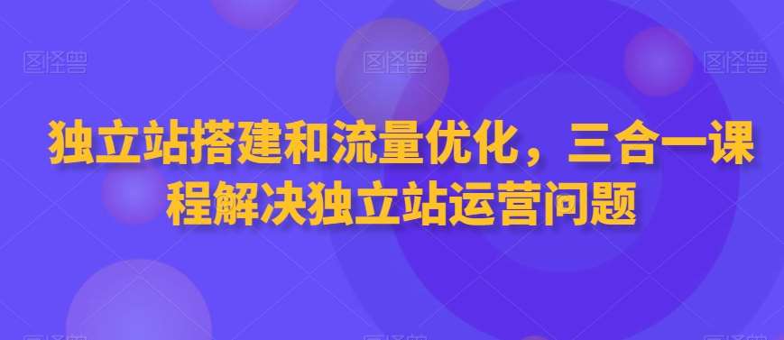 独立站搭建和流量优化,三合一课程解决独立站运营问题-赛德副业库