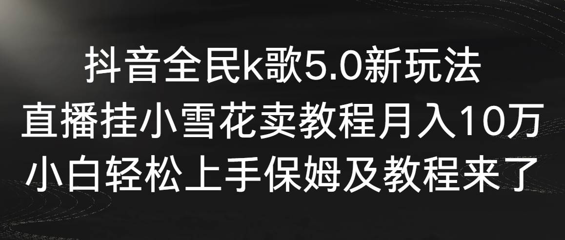 (9021期)抖音全民k歌5.0新玩法,直播挂小雪花卖教程月入10万,小白轻松上手,保...-赛德副业库