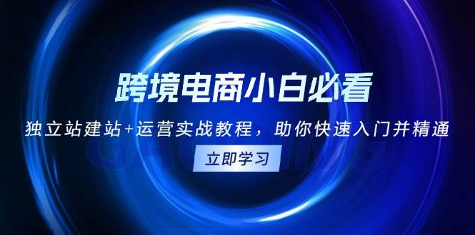 （13503期）跨境电商小白必看！独立站建站+运营实战教程，助你快速入门并精通-赛德副业库