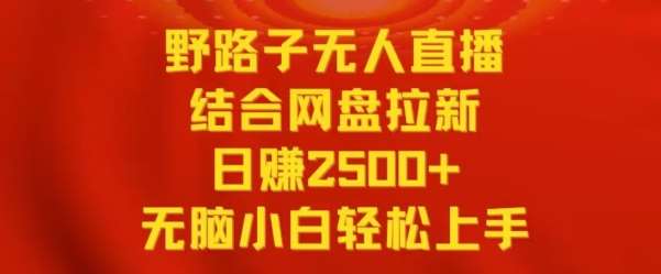 野路子无人直播结合网盘拉新,日赚2500+,小白无脑轻松上手【揭秘】-赛德副业库