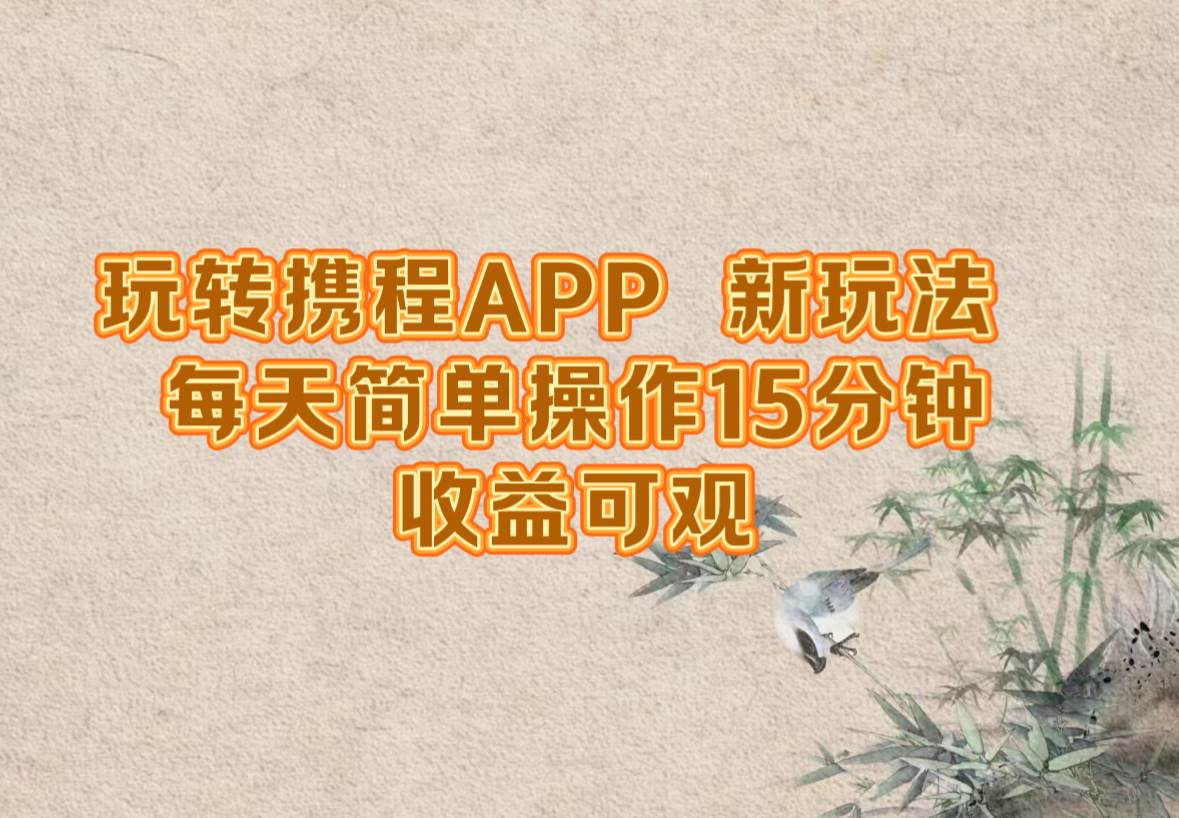 (12705期)玩转携程APP,新玩法,每天简单操作15分钟,收益可观-赛德副业库