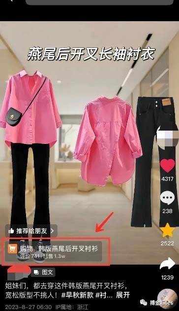 图片[3]-AI图文带货项目：不用出镜，不用拍短视频，不用做直播 就能出单，赚取佣金-赛德副业库