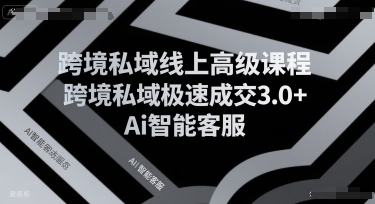 跨境私域线上高级课程，跨境私域极速成交3.0+Ai智能客服-赛德副业库