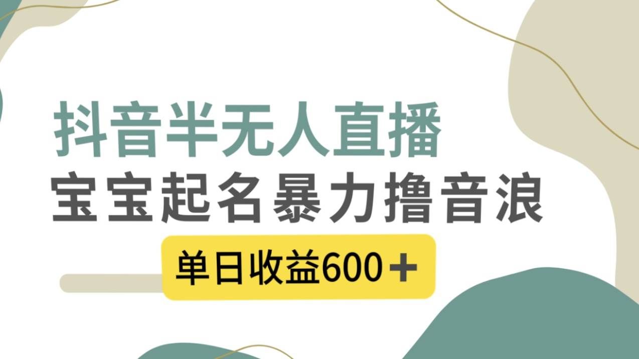 （8192期）抖音半无人直播，宝宝起名，暴力撸音浪，单日收益600+-赛德副业库
