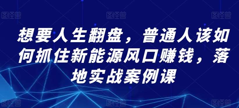 想要人生翻盘，普通人该如何抓住新能源风口赚钱，落地实战案例课-赛德副业库